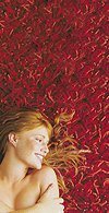 Soho Rugs
