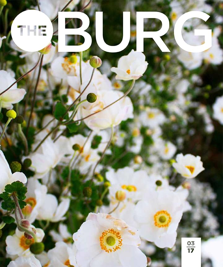 The Burg Magazine Cover, March 2017. ModernRugs.com Feature Article.