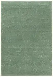 Linon Green Rug 10 Product Image