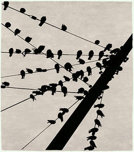 Flock Signature Rug