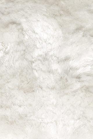 Quirk Ivory Shag Rug Product Image