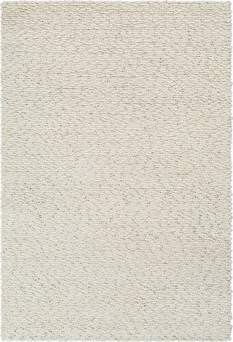 Surya Kapara KPA-1000 Cream Wool Solid Colored Rug Product Image