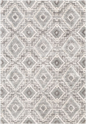 Modern Loom Aldun ALN-2304 Gray Power Loomed Synthetic Rug Product Image