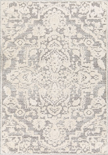 Modern Loom Aldun ALN-2306 Beige Power Loomed Synthetic Rug Product Image