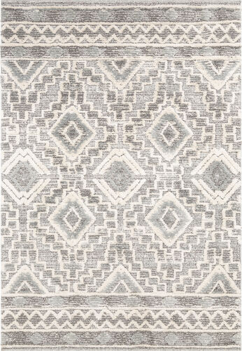 Modern Loom Aldun ALN-2310 Gray Power Loomed Synthetic Rug Product Image