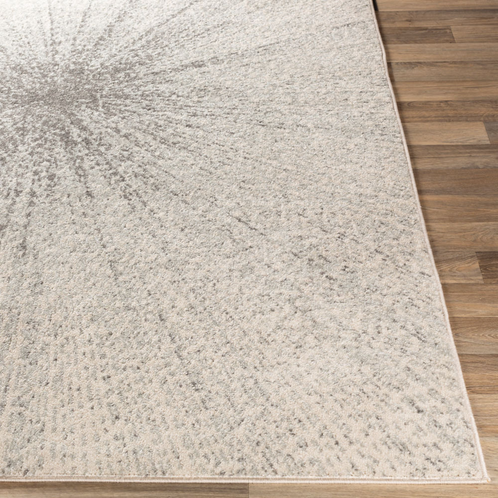 Surya Adrastephae Ada 2305 Light Gray Abstract Synthetic Rug From The Modern Rug Masters 